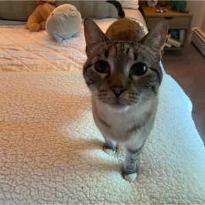 Meet your Posher, Olivia